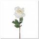 ROSE OUVERTE 75CM