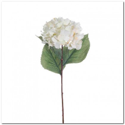 HORTENSIA 77CM