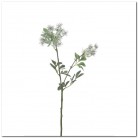 BRANCHE ANGELICA 75CM