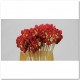 STICK FLOWER 50CM X 5 ROJO.