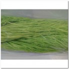 RAFIA VERDE PISTACHO