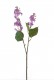 LILAS 49CM