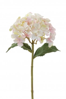 HORTENSIA 28 CM