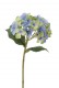 HORTENSIA 28 CM