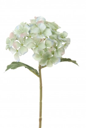 HORTENSIA 28 CM