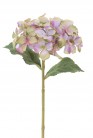 HORTENSIA 28 CM