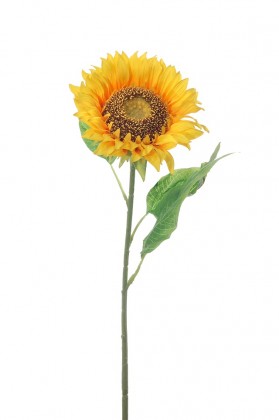 TOURNESOL 75CM