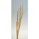 MITSUMATA 120CM ORO