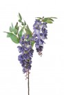 WISTERIA 95CM PAARS