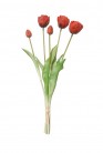 TULP BUNDEL ROOD