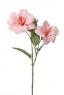 HIBISCUS 65 CM ROZE