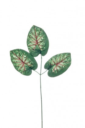 FEUILLE DE CALADIUM X 16 UNI