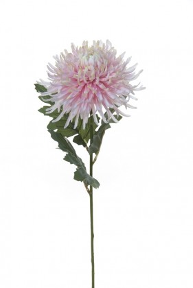 CHRYSANT 65 CM ROZE