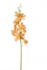 DENDROBIUM 47 CM ORANGE