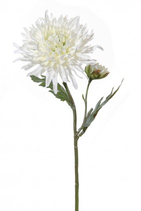 CHRYSANTHEME 36 CM BLANC