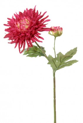 CHRYSANTHEME 36 CM CERISE