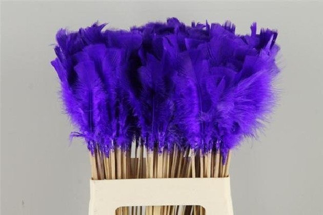 PICK PLUMA PURPLE-BLUE 50CM X 10 UNI