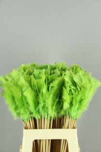 PICK PLUMAS APPLE GREEN 50CM X 10 TLLS