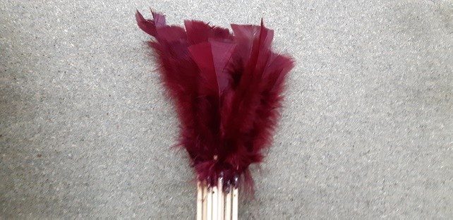 PICK PLUMA WINE 50CM X 10 UNI