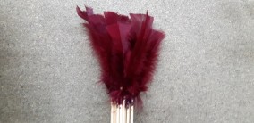 PICK PLUMA WINE 50CM X 10 UNI