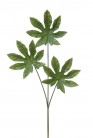 ARALIA X3 73 CM VERT