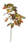 BLAD 170CM GROEN/ROOD