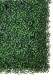 HAAGELEMENT BUXUS GRN DONKER 50CM X 50CM