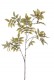 FEUILLES SORBUS 125CM