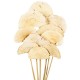 MUSH SPONGE NATURAL