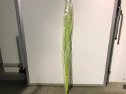 SALIX 180CM. VERDE PISTACHO