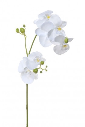 PHALAENOPSIS 75 CM BLANC