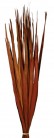 SUN PALM LEAVES MARRON