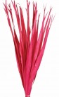 SUN PALM LEAVES FUCSIA