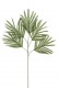 ARECA BRANCHE 75CM VERT