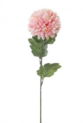 CHRYSANTHÈME 68 CM SAUMON