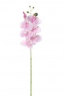 PHALAENOPSIS 80CM ROSA