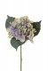 HORTENSIA 40CM MAUVE