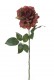 ROSE GRANATE 68CM