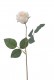 BOUTON DE ROSE 42CM ROSE