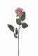 BOUTON DE ROSE 42CM VIEUX ROSE