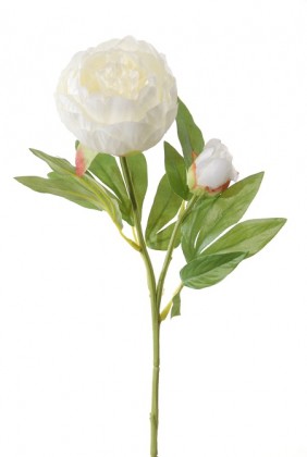 PIVOINE 48CM BLANCO