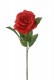 ROSE 60 CM ROUGE