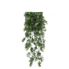 BUIS FLEURI CHUTE 50CM VERDE/BLANCO