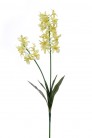 ORCHIDEE DENDROBIUM 51CM CREMA