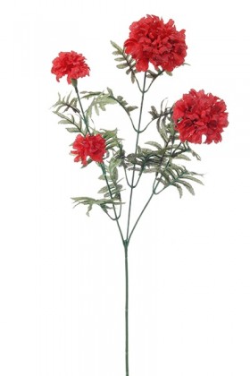 TAGETES X4 ROJO