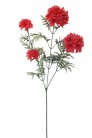 TAGETES X4 ROJO