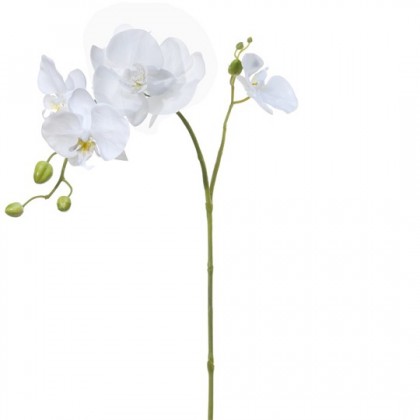 PHALAENOPSIS 60CM BLANCO