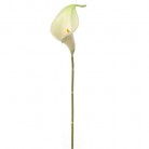 CALLA 35CM VERT CLAIRE