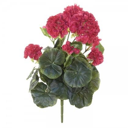 GERANIUM H38 CM ROUGE