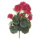 GERANIUM H38 CM ROUGE